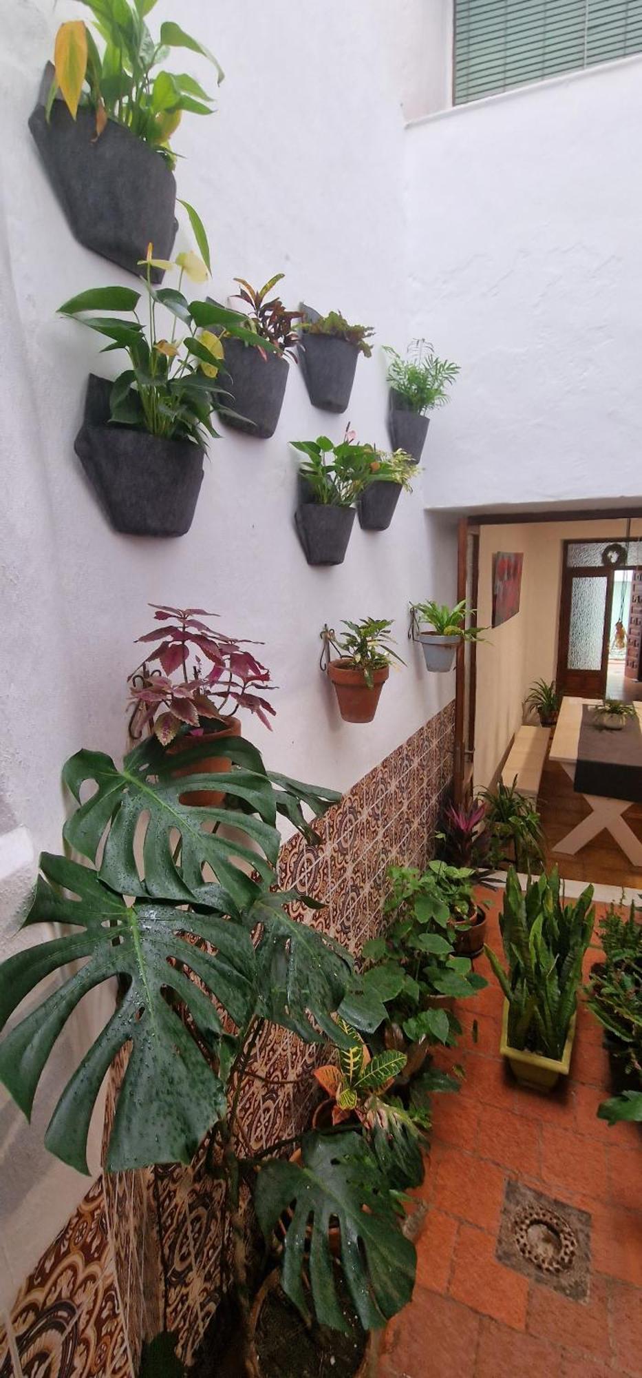 La Casa De Abuela Habitaciones Con Bano Compartido En El Casco Historico De Frigiliana "Solo Adultos" Exteriér fotografie